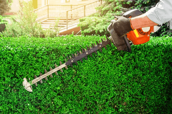 Landscape maintenance to keep your home and property beautiful. Includes trimming blowing weed removal and planting.